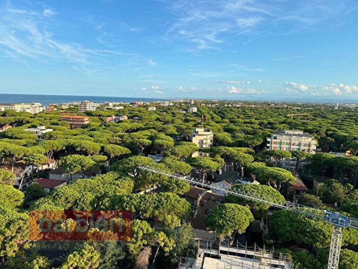 Appartamento trilocale in affitto in VIALE ROMAGNA, Milano Marittima, Cervia