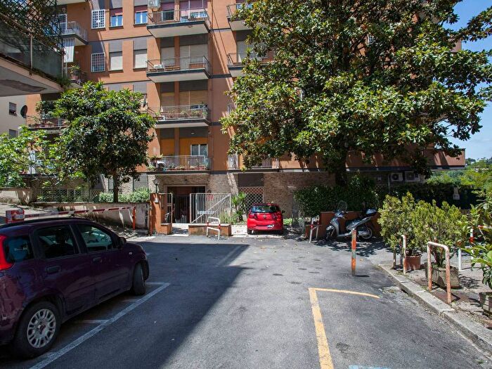 Appartamento quadrilocale in affitto in Via Francesco Ferrara, Vigna Clara Vigna Stelluti, Roma