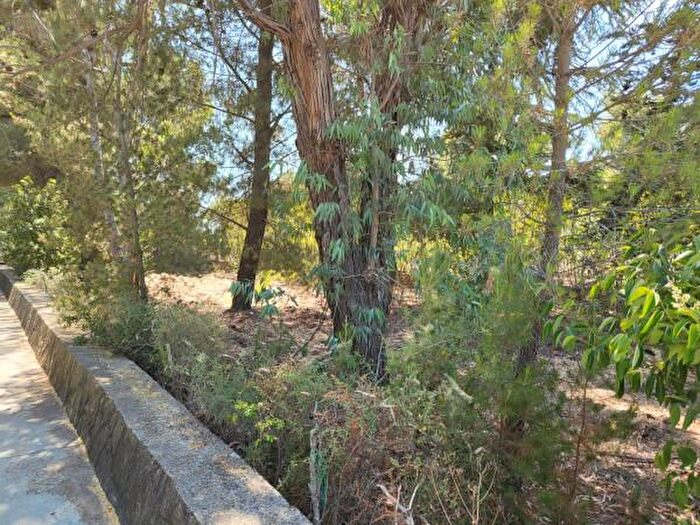 Casa con 5 locali in vendita in Contrada Femmina Morta, Andria