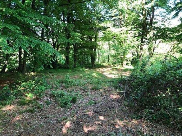 Casa bilocale in vendita in Tavernerio