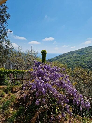 Appartamento trilocale in affitto in Via Cortino Sori, Sori