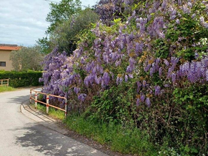 Casa in affitto in Porto Ercole, Monte Argentario