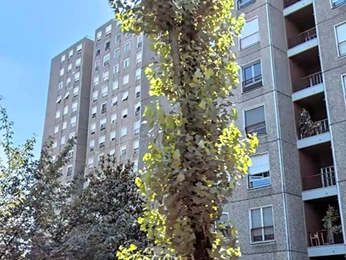 Appartamento quadrilocale in affitto in Viale Ca Granda, Ca Granda, Milano