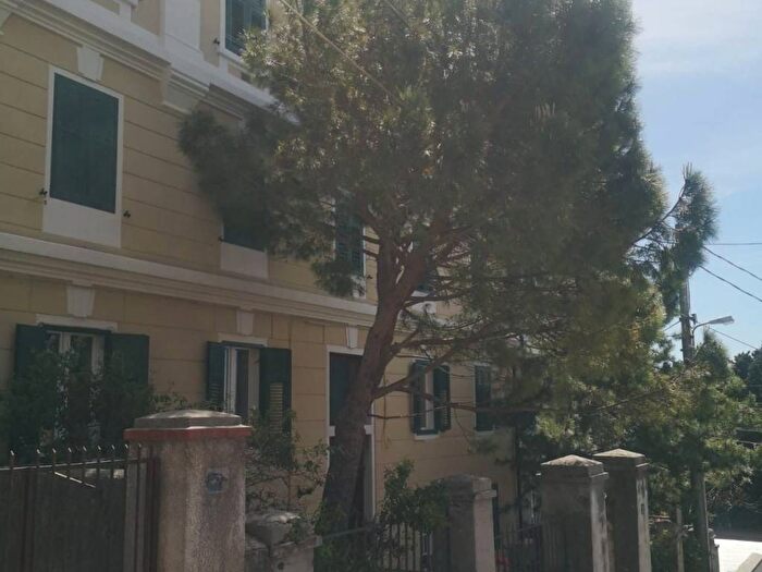 Appartamento bilocale in affitto in Via Giuseppe Bernardino Bison, Barcola, Trieste
