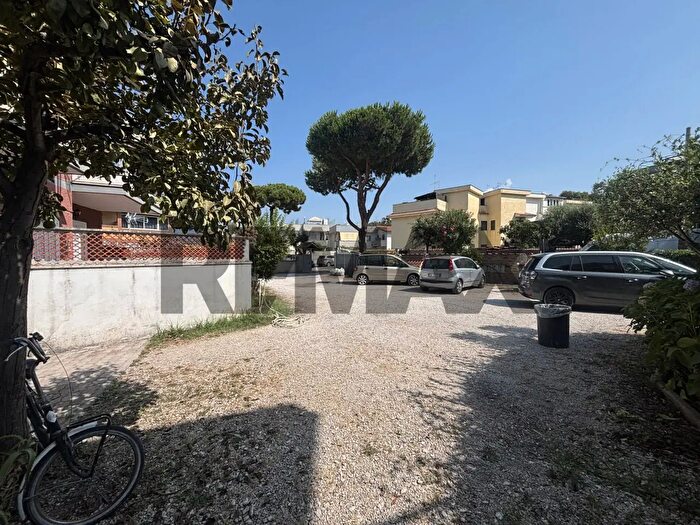 Appartamento bilocale in affitto in Ardea