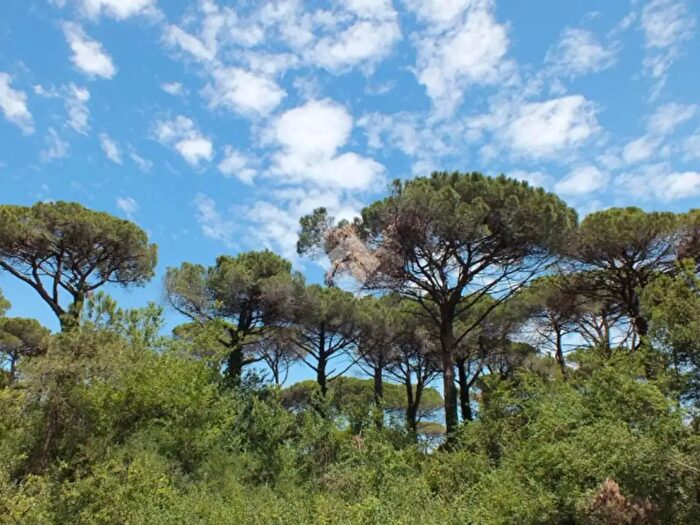 Appartamento trilocale in vendita in Cervia