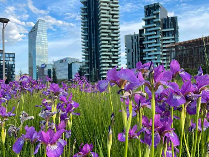 Appartamento in affitto in Via Federico Confalonieri, Isola, Milano