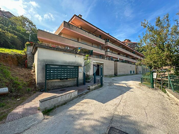 Appartamento trilocale in vendita in Via Luglio, Monte Porzio Catone