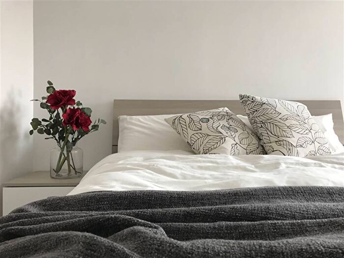 Appartamento bilocale in affitto in viale del lavoro, Ciampino