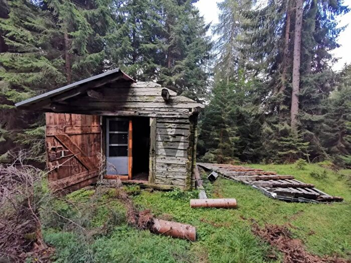 Casa monolocale in vendita in Lozzo Di Cadore