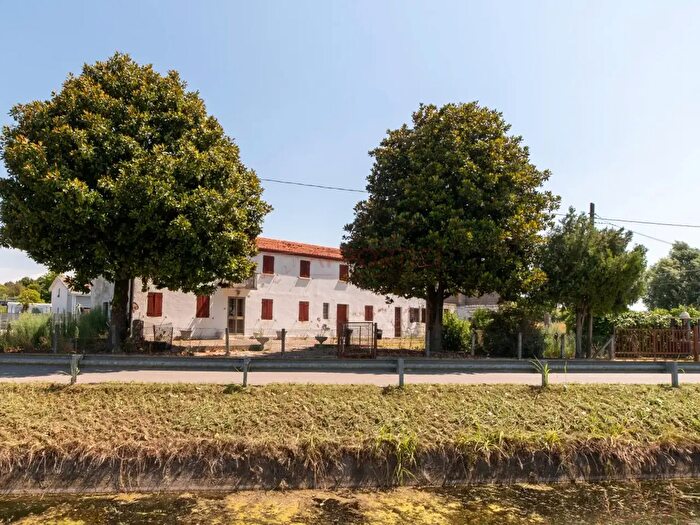 Casa con 5 locali in vendita in Via Brentella Sx, Piove Di Sacco