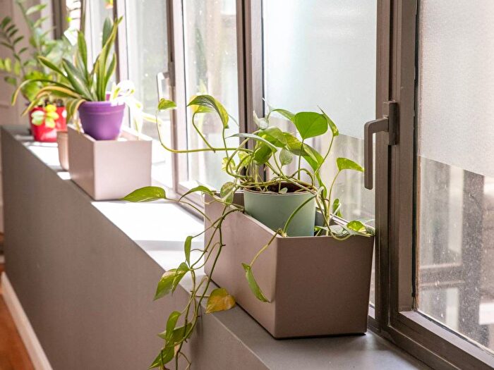 Appartamento con 6 locali in affitto in Campo De Fiori, Campo de Fiori, Roma