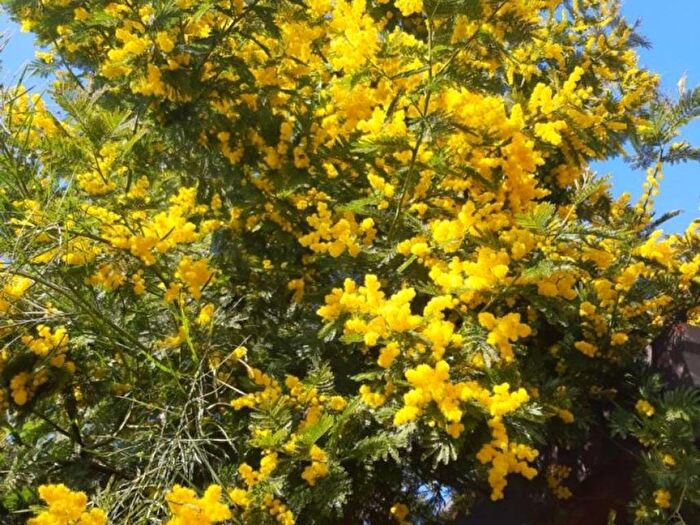 Appartamento bilocale in affitto in Centro, Corbetta