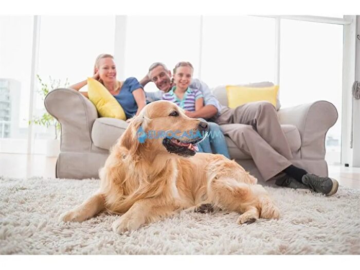 Appartamento quadrilocale in vendita in Via Bollitora Interna Carpi Mo, Carpi