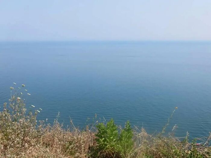 Appartamento con 5 locali in affitto in Ancona