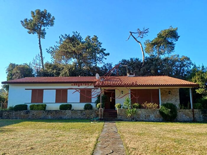 Casa con 5 locali in affitto in Via Cristoforo Colombo, Roma Imperiale, Forte dei Marmi
