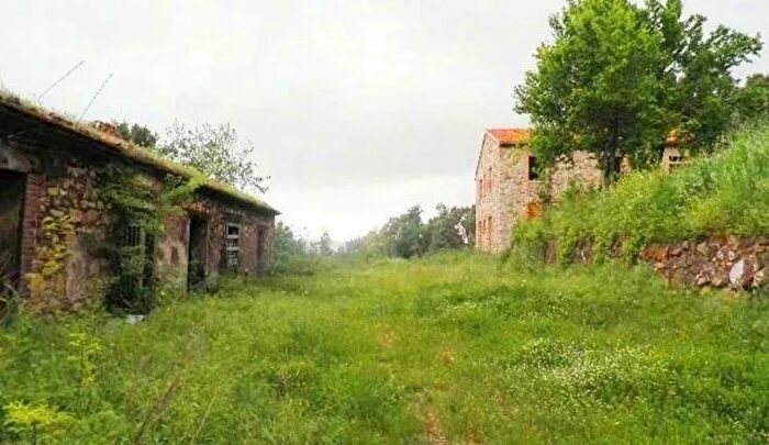 Casa con 20 locali in vendita in Monteverdi Marittimo
