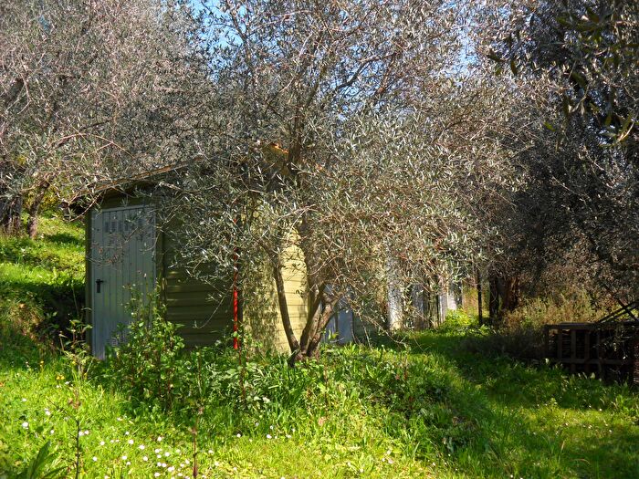 Casa monolocale in affitto in Massarosa