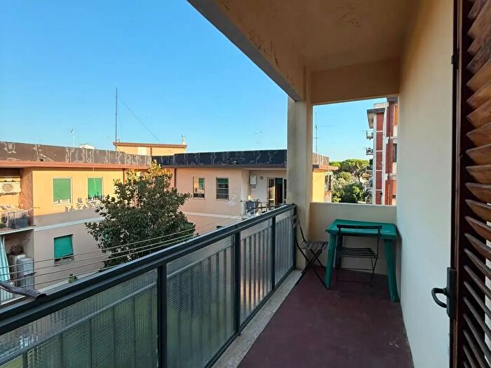 Appartamento quadrilocale in affitto in Pisa