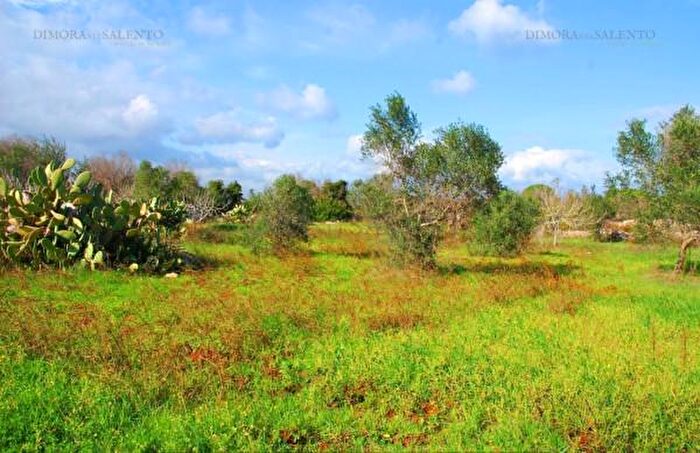 Casa trilocale in vendita in Via Chisine Snc, Salve