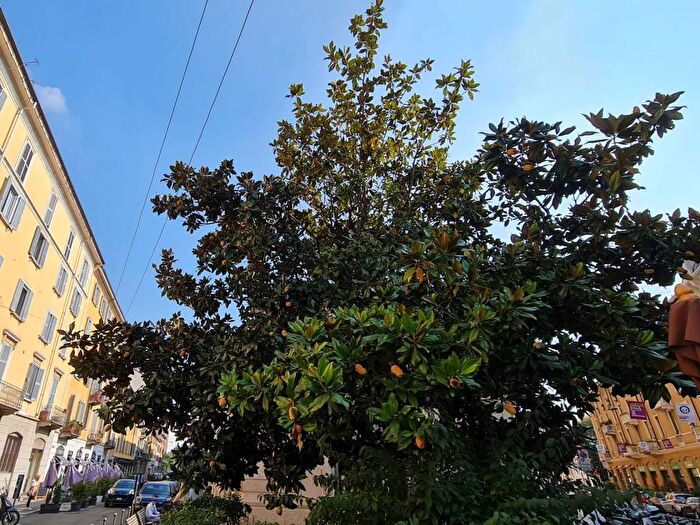 Appartamento monolocale in affitto in Via Paolo Frisi, Porta Venezia, Milano