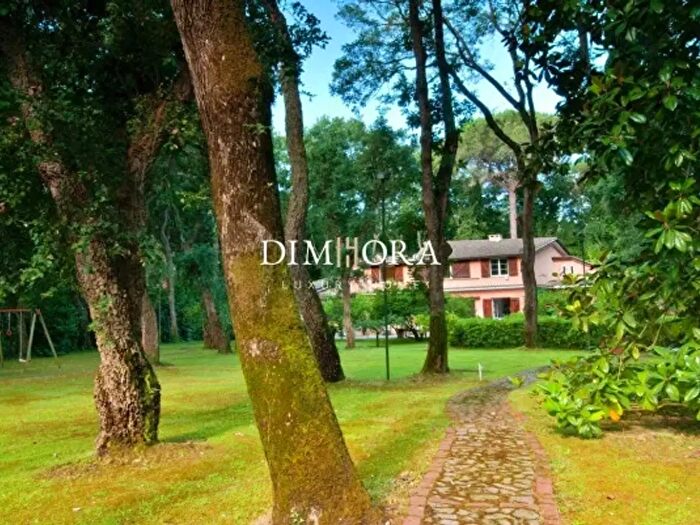 Casa con 6 locali in affitto in Sabaudia