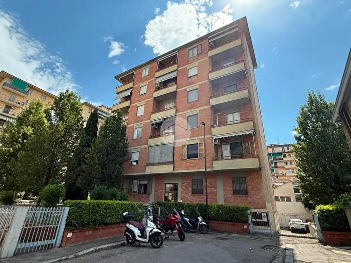 Appartamento trilocale in affitto in Via Alfredo Cappellini, Firenze