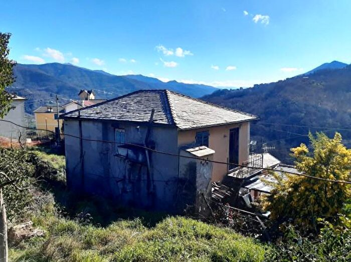 Appartamento quadrilocale in vendita in Tribogna