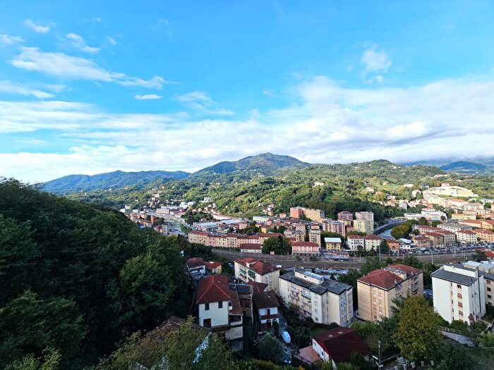 Appartamento con 7 locali in vendita in Via Domenico Carli, Genova