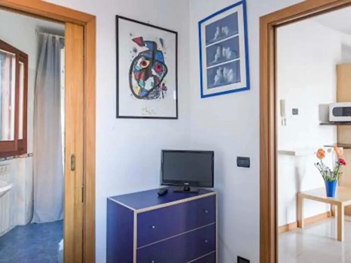 Appartamento monolocale in affitto in Via Lorenzo Allievi, Roma