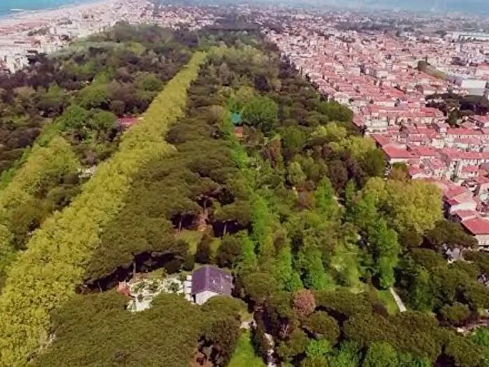 Appartamento con 6 locali in vendita in Viareggio