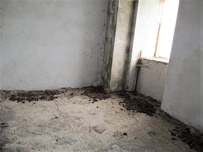 Casa quadrilocale in vendita in Teglio