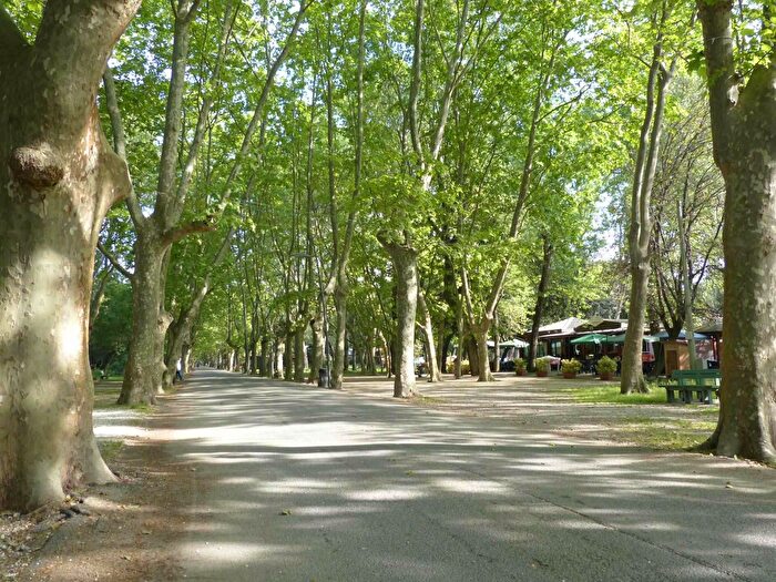 Appartamento trilocale in vendita in Viareggio