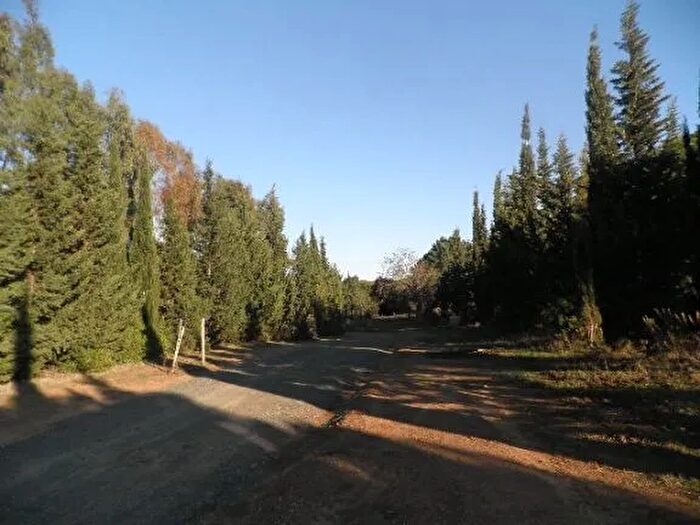 Casa in vendita in Cecina