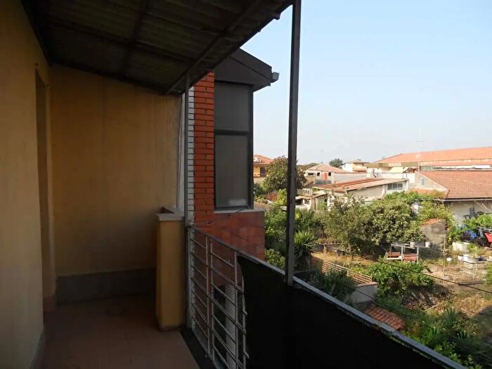 Appartamento trilocale in affitto in Via Ulivi, San Gregorio Di Catania