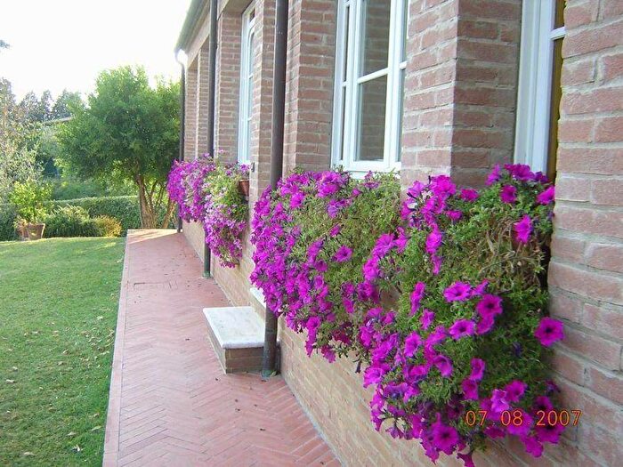 Appartamento con 5 locali in affitto in Str di Vignano, Le Tolfe Monteliscai, Siena