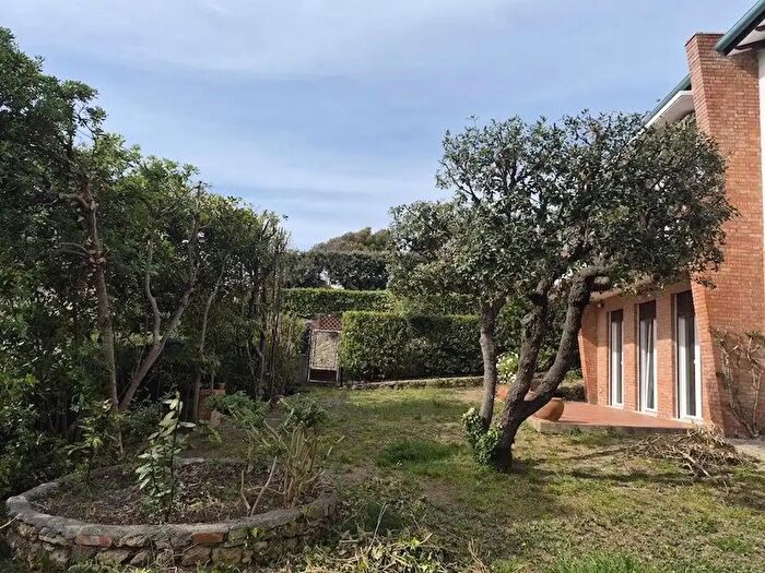 Appartamento con 5 locali in affitto in Via Milano, Rosignano Marittimo