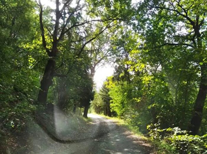 Casa con 6 locali in vendita in Strada di Viserano, Travo