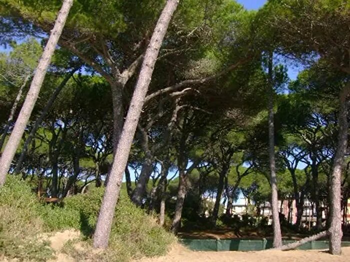 Appartamento trilocale in vendita in Via Lago di Misurina, Follonica