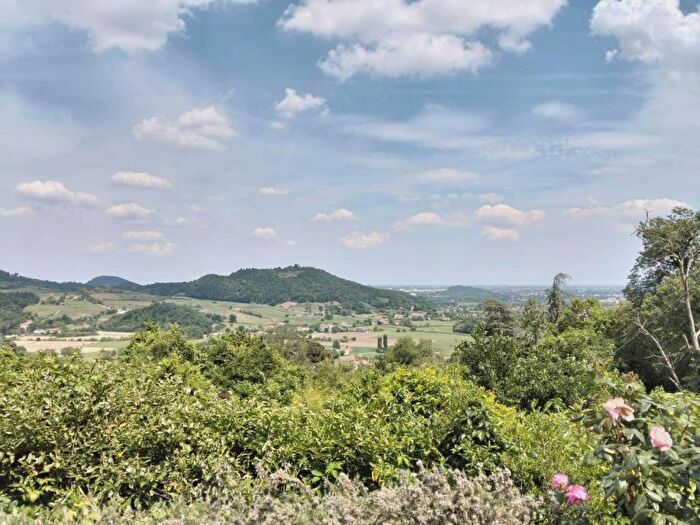 Appartamento con 5 locali in affitto in Via C Pollini, Torreglia