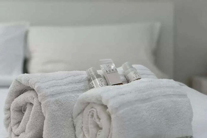 Appartamento monolocale in affitto in Via Egidio Folli, Milano