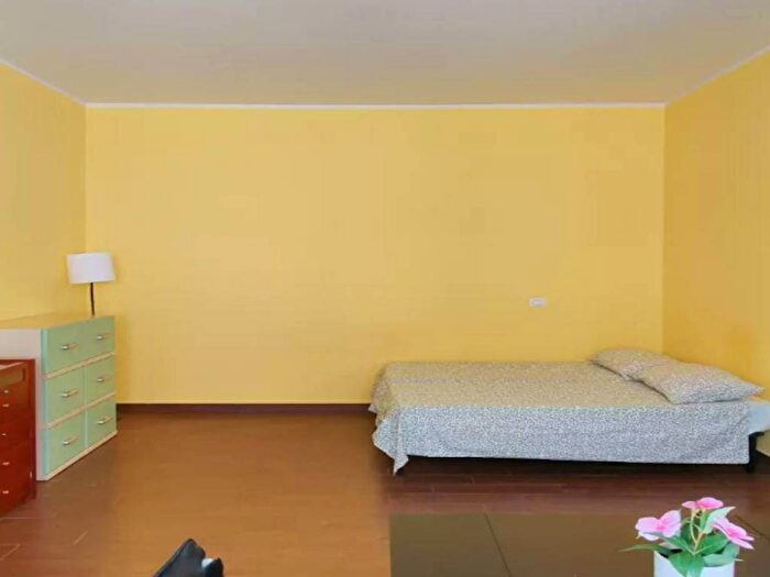 Appartamento monolocale in affitto in Via Bullona, Sempione, Milano