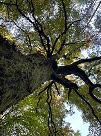 Casa in vendita in Montorio, Sorano