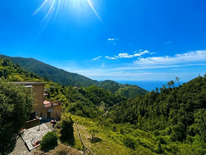 Appartamento quadrilocale in vendita in Vernazza