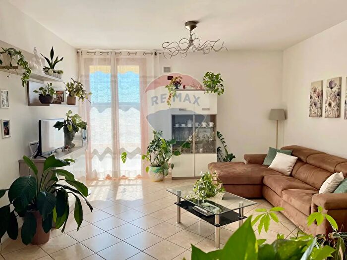 Appartamento trilocale in affitto in Empoli