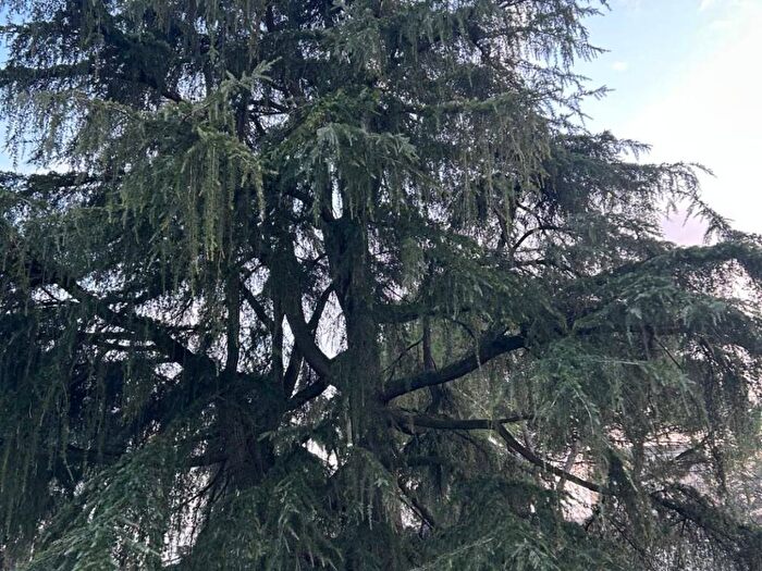 Appartamento quadrilocale in affitto in Via Pietro Pomponazzi, Mazzini Fossolo, Bologna