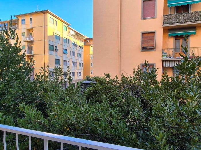 Appartamento quadrilocale in affitto in Via Adolfo Bartoli, Coverciano, Firenze