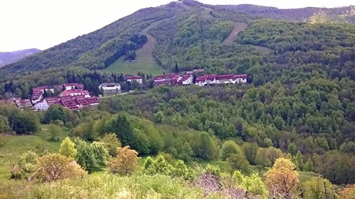 Appartamento bilocale in vendita in Viola, Viola