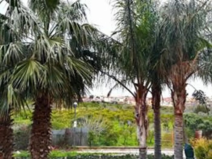 Casa quadrilocale in vendita in Via Giovanni Falcone, Villabate