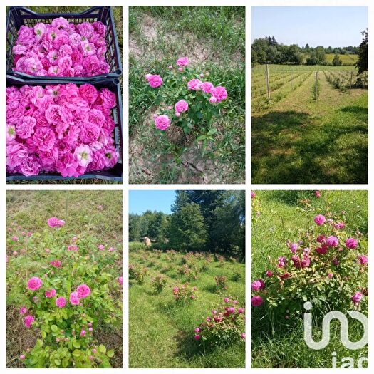 Casa bilocale in vendita in Via Montebasso, Cafasse